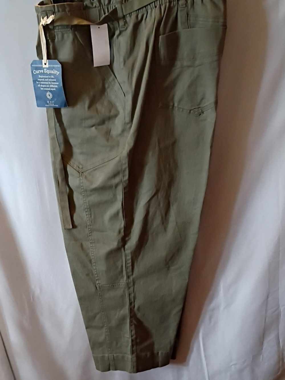 Democracy Pants 20W
